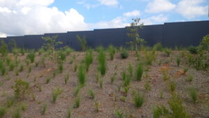 Noise reduction walls
